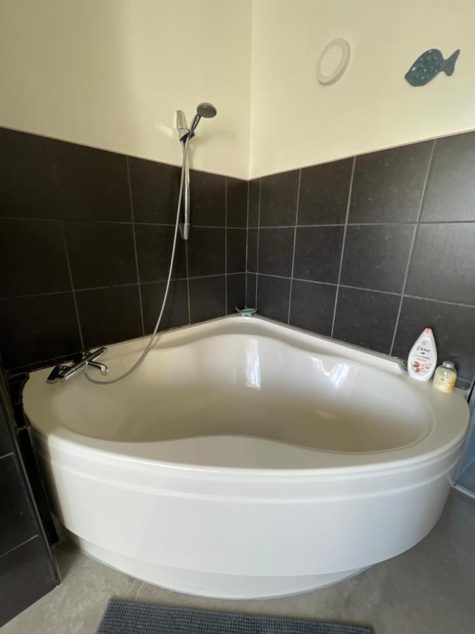 Cosy Appartment Alkmaar Bagian luar foto